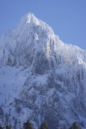 Elferkopf
